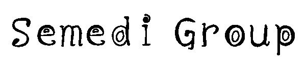 Semedi Group字体