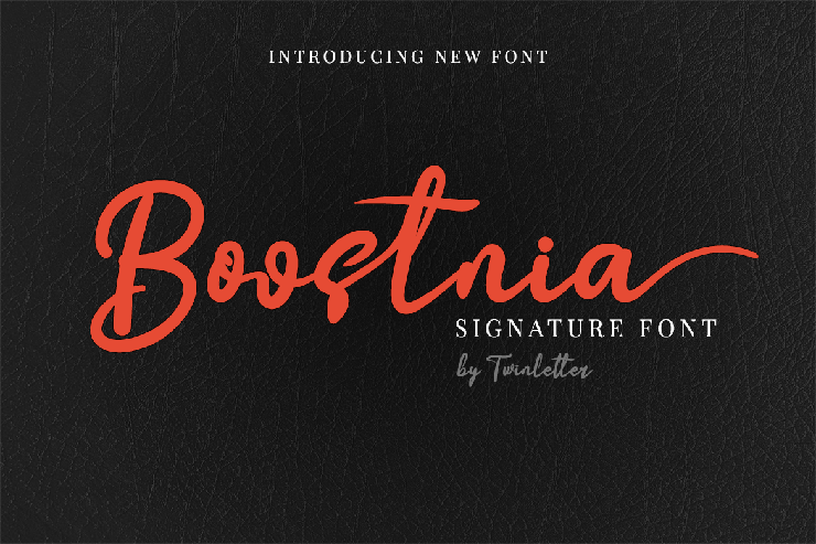 Boostnia Personal字体 3