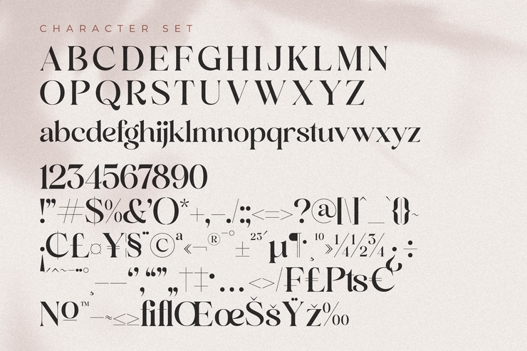 Andora Modern Serif 2