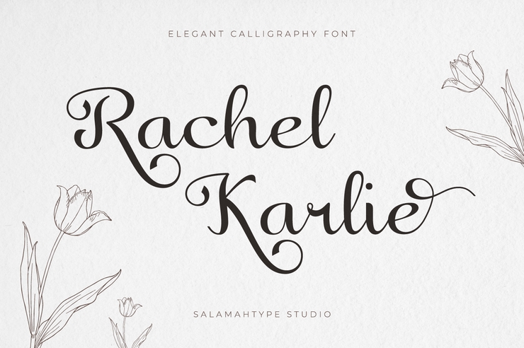 Rachel Karlie字体 2