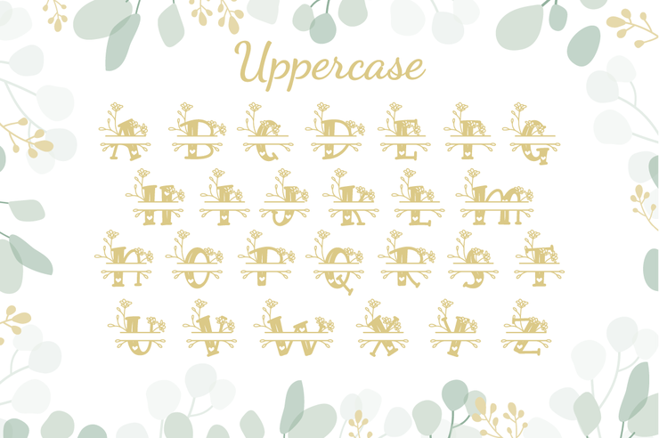 Hilens Flower Monogram字体 2