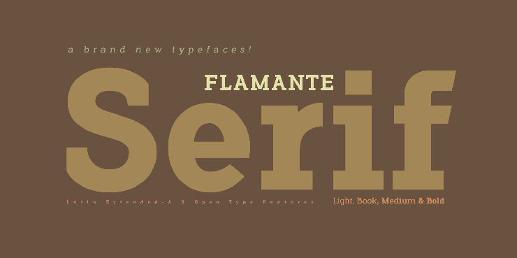 Flamante Serif字体 2