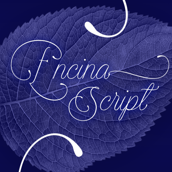 Encina Script字体 2