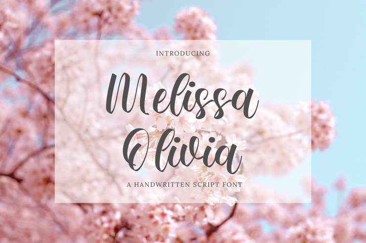 Melissa Olivia字体 3