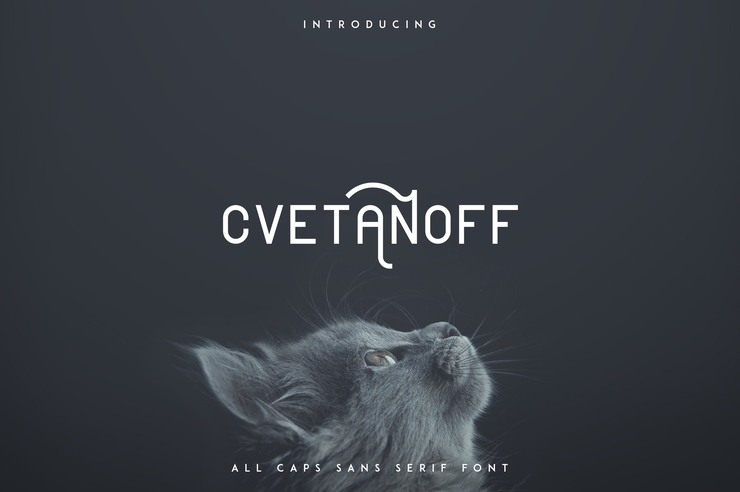 CVETANOFF SANS SERIF字体 1