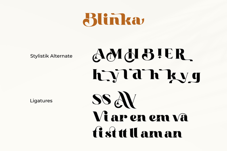 Blinka字体 2