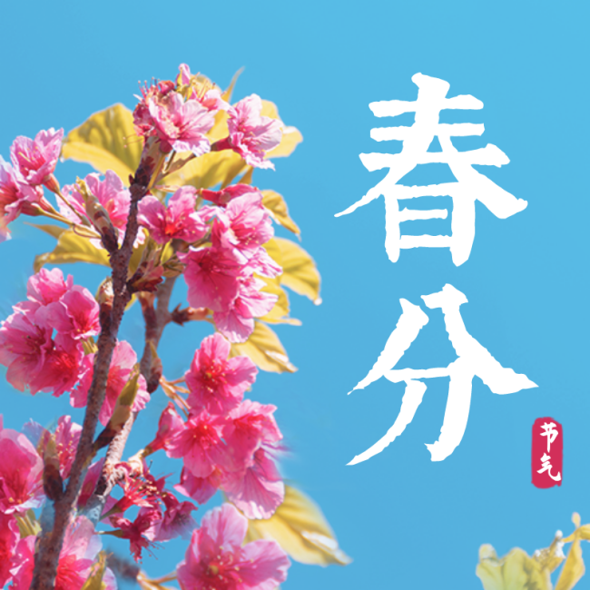 春分二十四节气海报