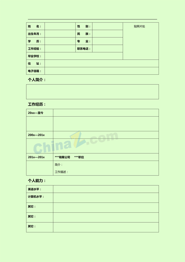 投资顾问个人简历表格