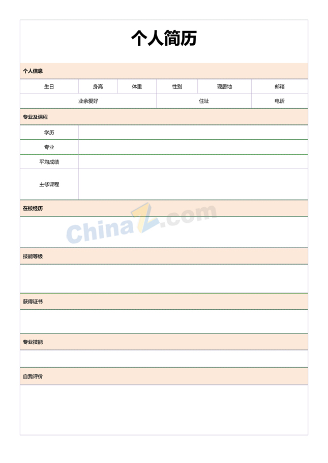 销售总监个人简历表格