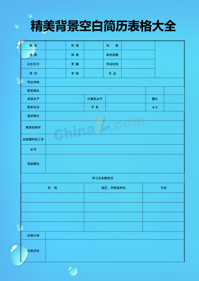 空白背景简历表格大全