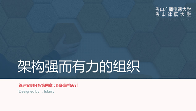 组织结构设计——管理案例分析商务ppt模板