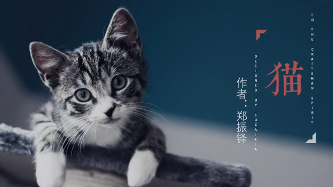 《猫》PPT课件4