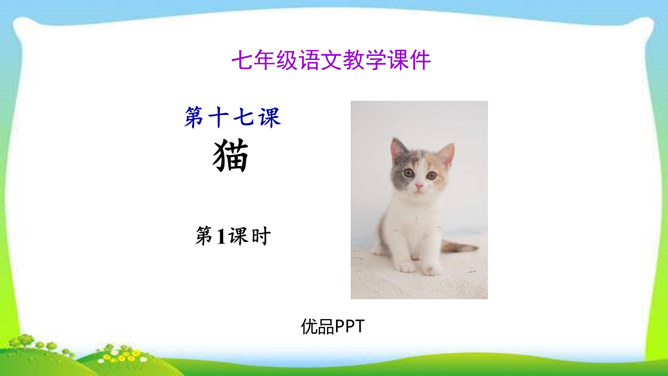 《猫》PPT课件1