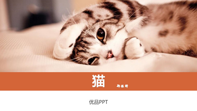 《猫》PPT课件7