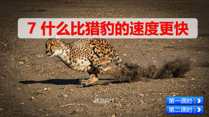 什么比猎豹的速度更快PPT课件7