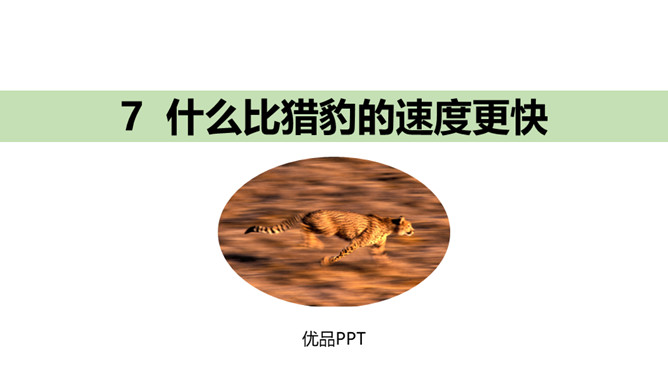 什么比猎豹的速度更快PPT课件1