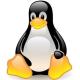 Linux Kernelv5.3.9