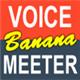 Voicemeeter Bananav2.1