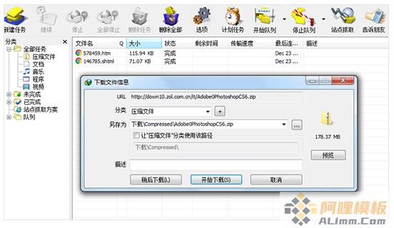 Internet Download Manager