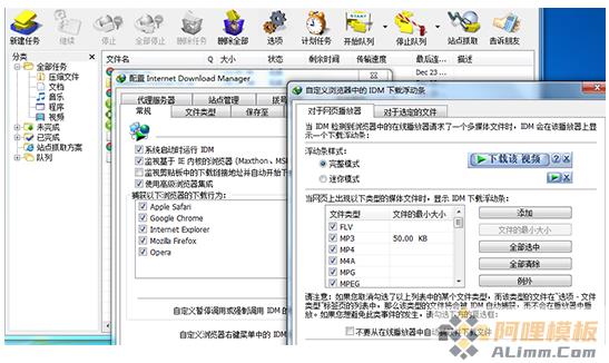 Internet Download Manager