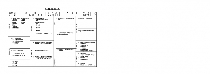 自我报告书Word模板