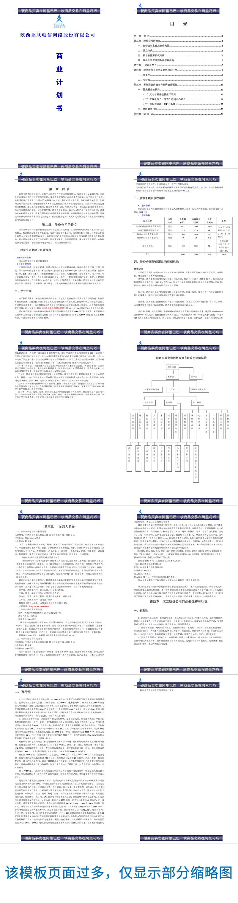 陕西亚联电信网络股份有限公司商业计划书.doc Word范文模板