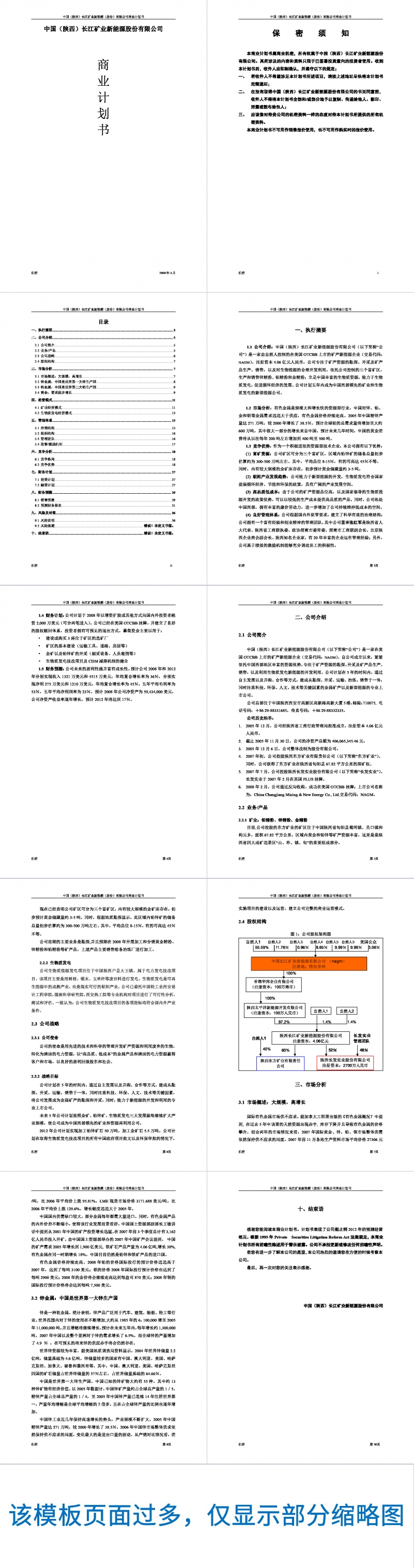 中国长江矿业新能源股份有限公司商业计划书Word范文模板