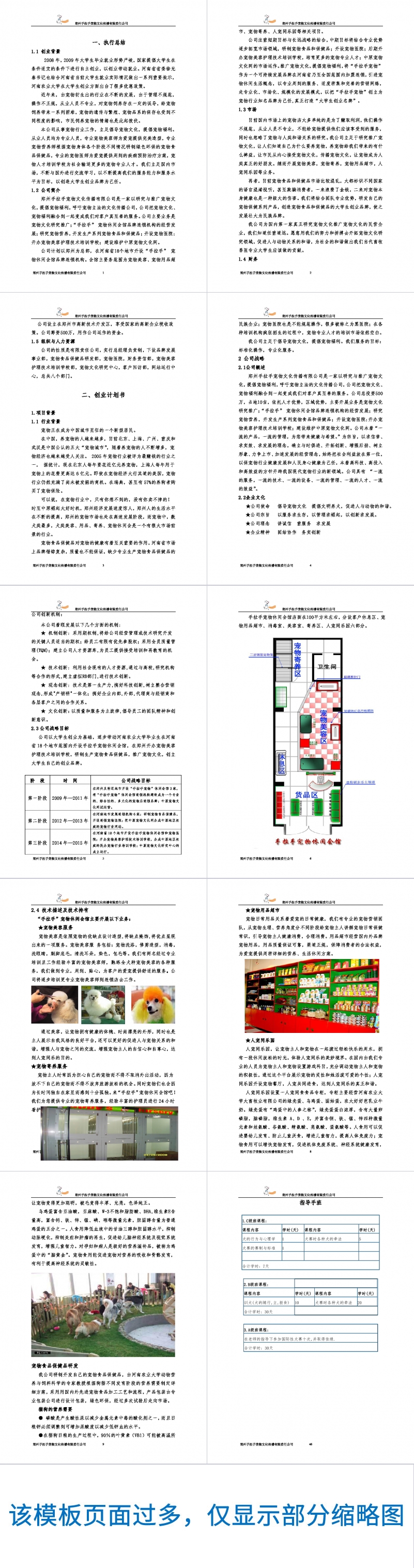 宠物文化传播公司创业计划书Word范文模板