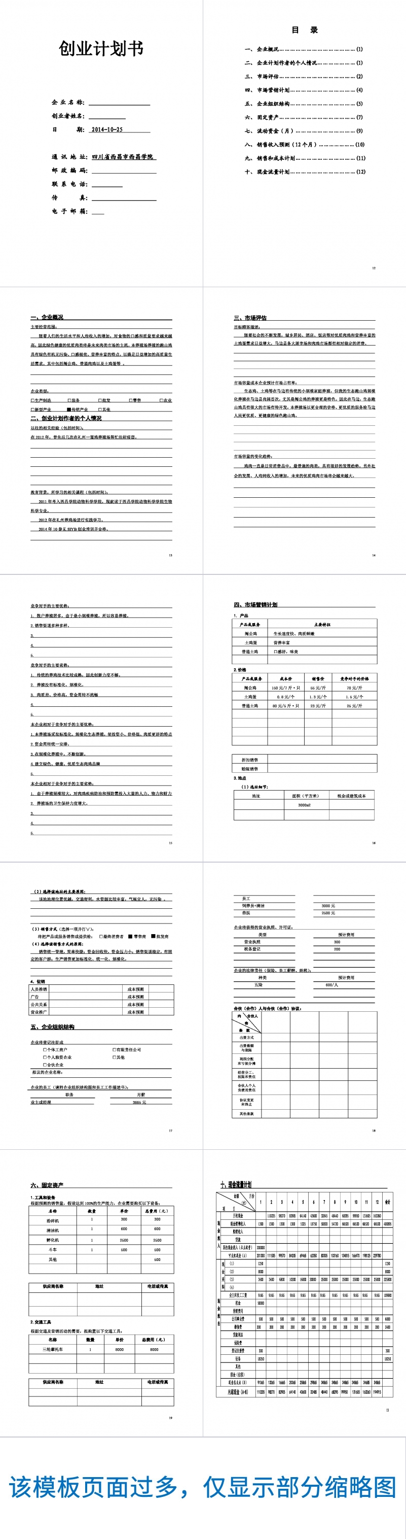 跑山鸡养殖创业计划书Word范文模板